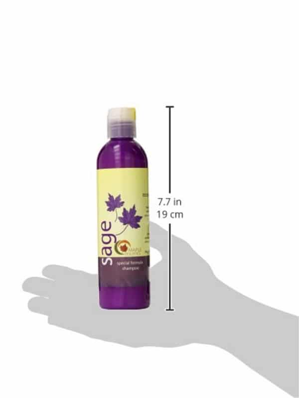 Maple Holistics Sage Shampoo For Anti Dandruff